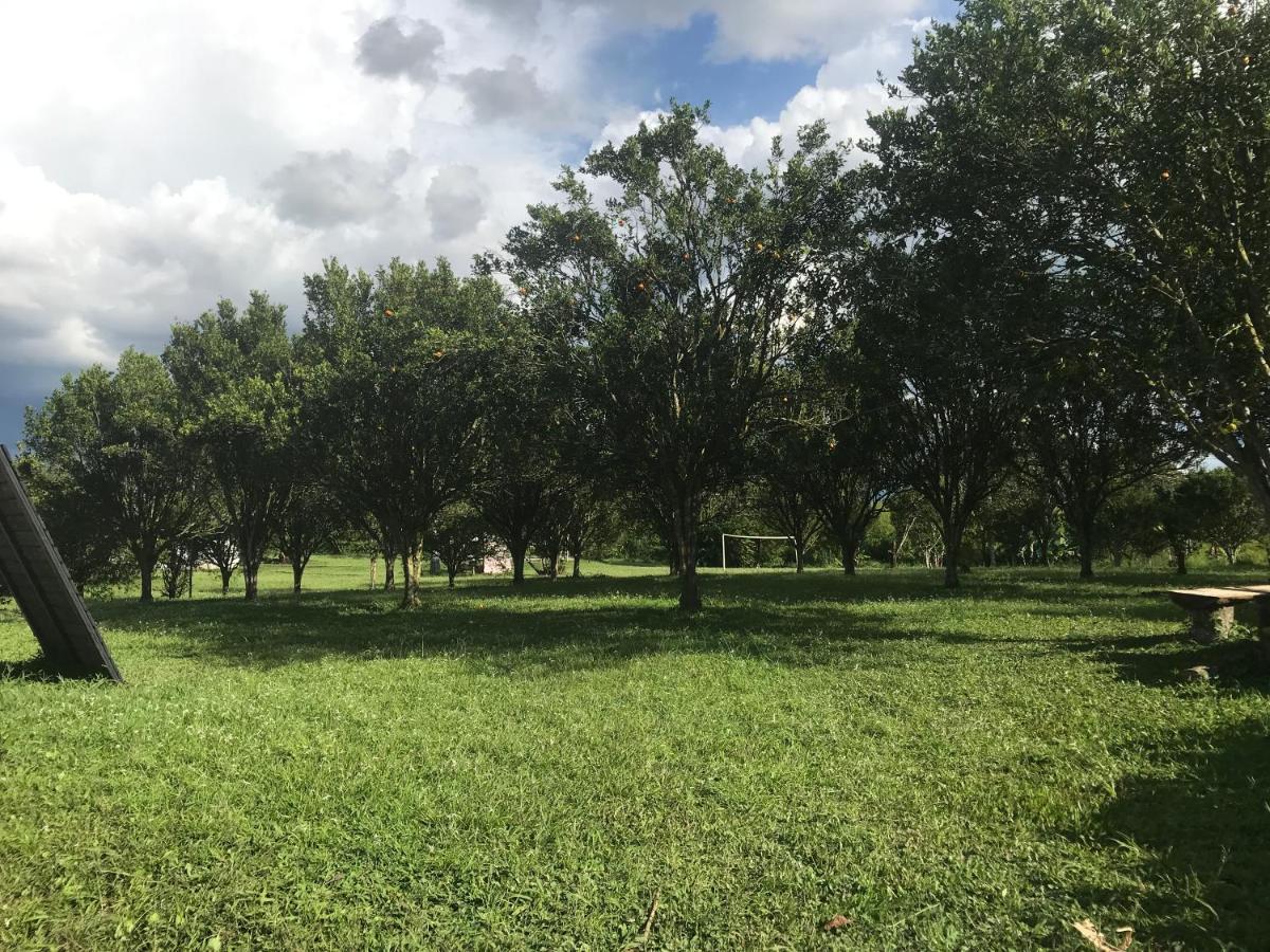 Del Campo * Quimbaya