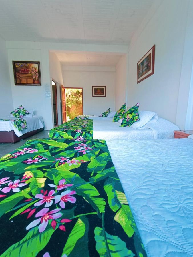 Del Campo Albergue *