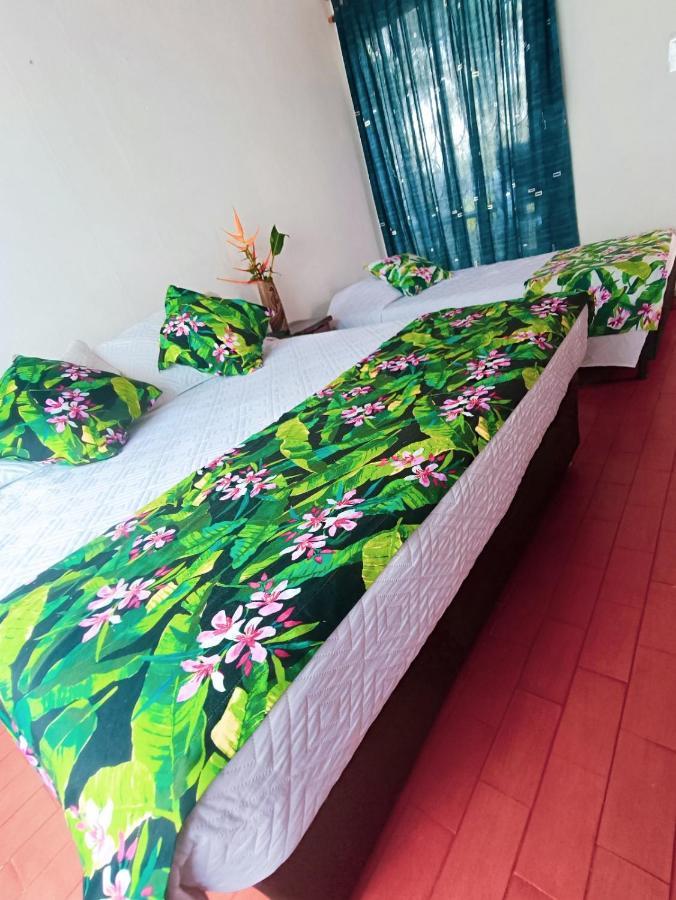 Hostal Del Campo